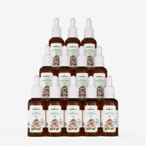 kit 6 extratos caudas de peru trametes versicolor