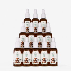 kit 12 extratos chagas inonotus obliquus