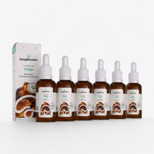 kit 6 extratos chagas inonotus obliquus