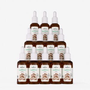 kit 12 extratos cogumelos do sol agaricus blazei