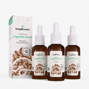 kit 3 extratos cogumelos do sol agaricus blazei