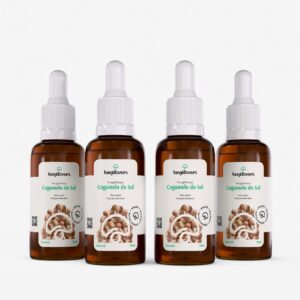 kit 4 extratos cogumelos do sol agaricus blazei