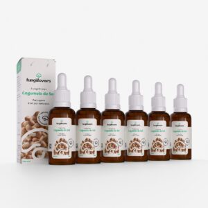 kit 6 extratos cogumelos do sol agaricus blazei