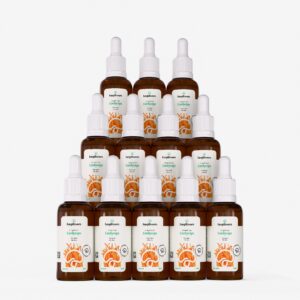 kit 12 extratos cordyceps cordyceps militaris