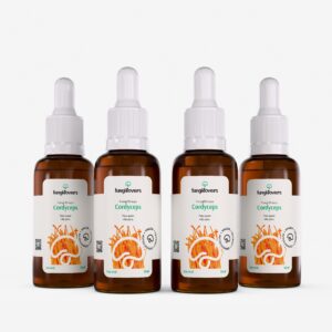 kit 4 extratos cordyceps cordyceps militaris