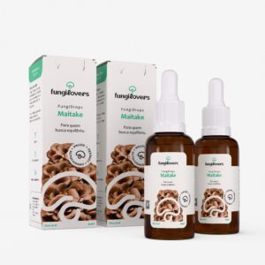 kit 2 extratos maitake grifola frondosa
