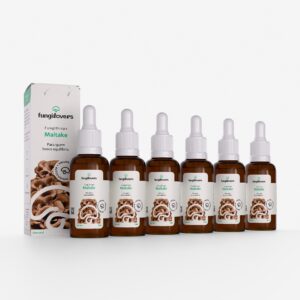 kit 6 extratos maitake grifola frondosa