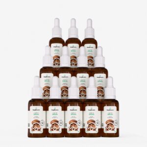 kit 12 extratos shiitake lentinula edodes