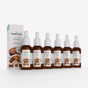 kit 6 extratos shiitake lentinula edodes