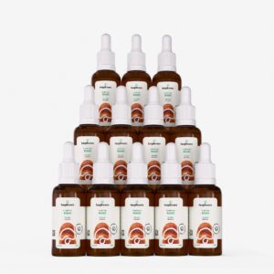 kit 12 extratos reishi ganoderma lucidum