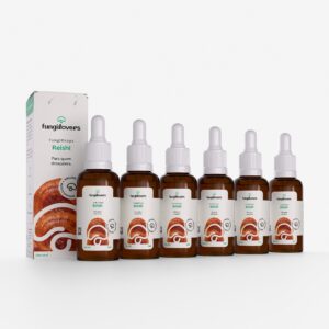 kit 6 extratos reishi ganoderma lucidum
